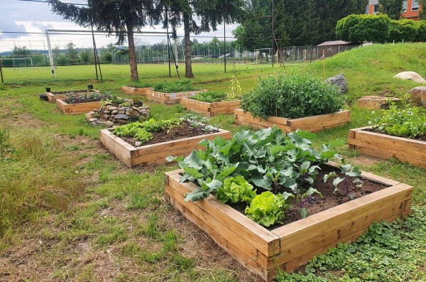 Živá školní zahrada u Základní školy Morávkova