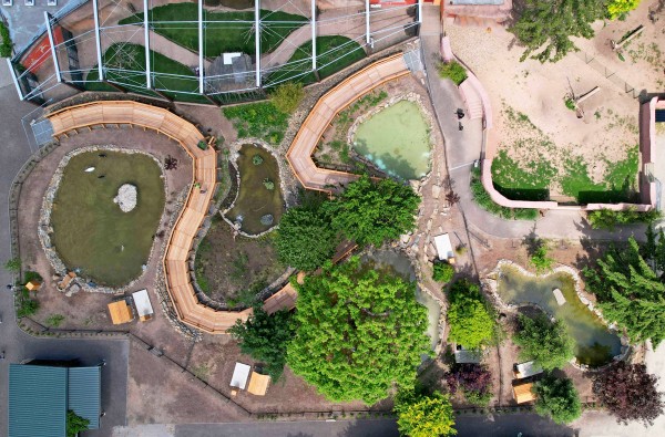 Expozice vodní drůbeže: velkorysé plochy i nové druhy ptáků