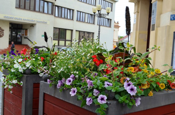 Mobilní truhlíky pro zelenější náměstí