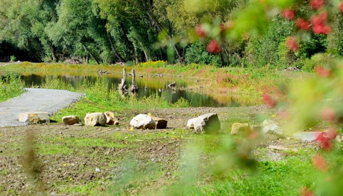 Mokřady Padělky v biokoridoru Lulečského potoka