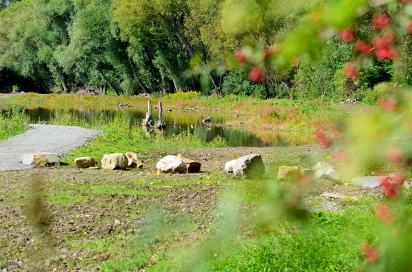 Mokřady Padělky v biokoridoru Lulečského potoka