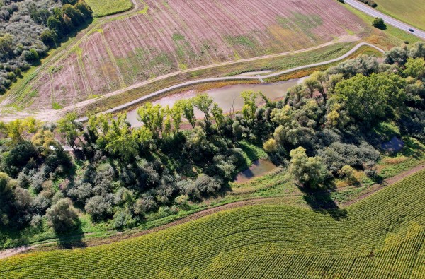 Mokřady Padělky v biokoridoru Lulečského potoka
