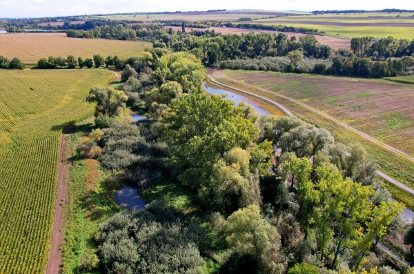 Mokřady Padělky v biokoridoru Lulečského potoka