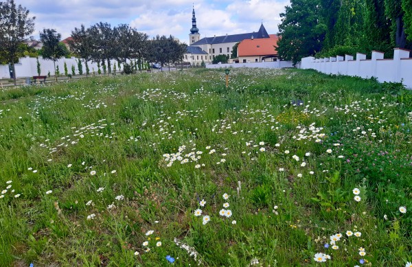 Motýlí louka zkrášlila prostor před zámeckou zahradou