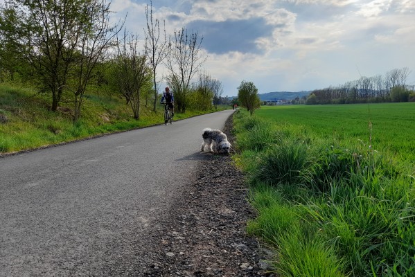 Oprava komunikace Nosálovice – Kašparov