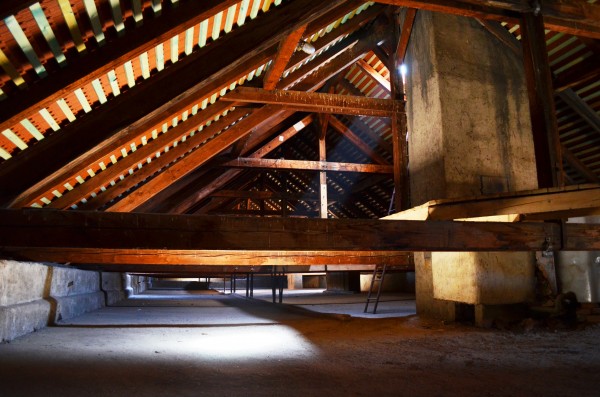 Generel zámku počítá i se zámeckou zahradou a pivovarem