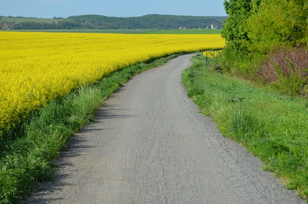 Zpevnění cesty na Pustiměř