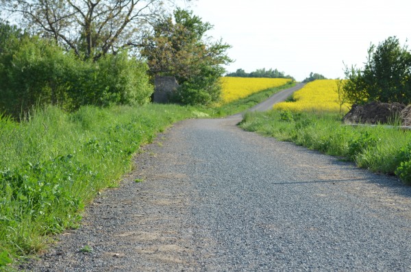 Zpevnění cesty na Pustiměř